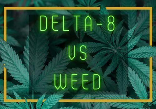 Sign with cannabis leaves in background and text that says "delta 8 vs marijuana"