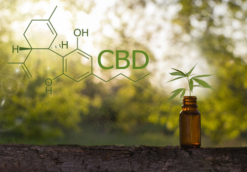 Picture of hemp leaves with chemical symbol for CBD overlayed onto the picture