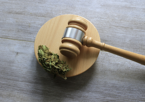 Judges gavel with a cannabis leaf sitting next to it