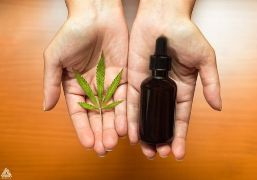 Hands holding out a tincture of HHC oil and a cannabis leaf