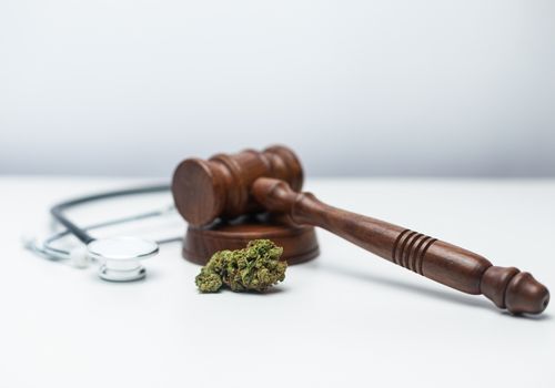 Judges gavel laying on a table with cannabis flower next to it